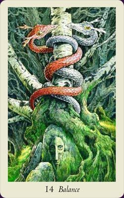 קלפי טארוט ווילדווד Wildwood Tarot – תמונה 6