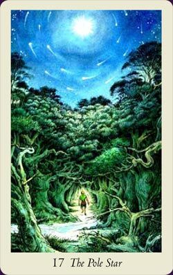 קלפי טארוט ווילדווד Wildwood Tarot – תמונה 5