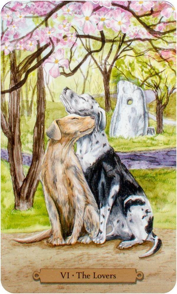 ⁦טארוט הכלבים הקסומים Magical Dogs Tarot⁩ – תמונה ⁦2⁩