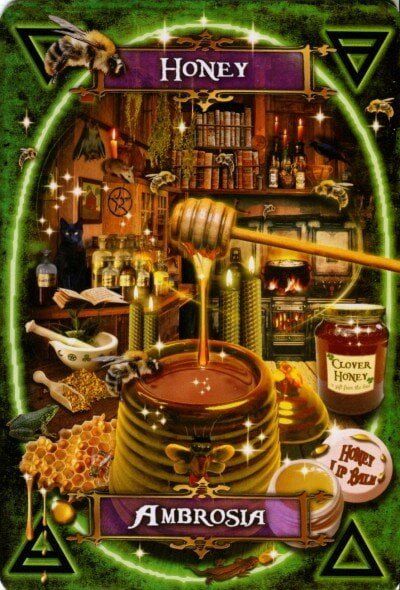 אורקל מכשפת מטבח Whitches' Kitchen Oracle – תמונה 3