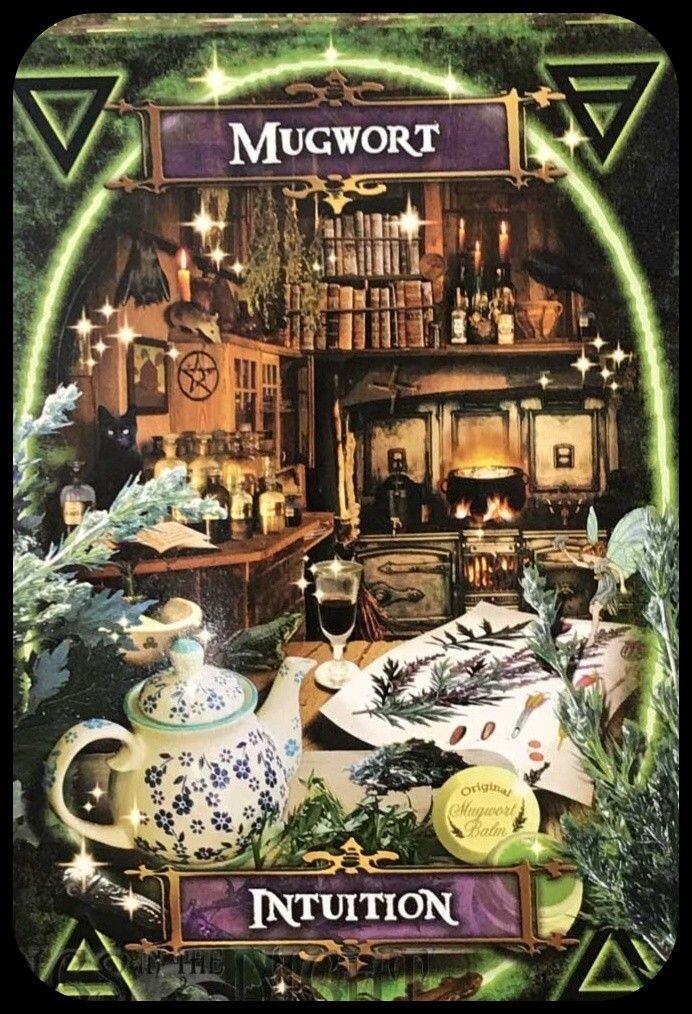 אורקל מכשפת מטבח Whitches' Kitchen Oracle – תמונה 2