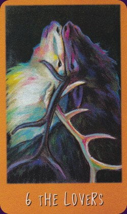 טארוט נבואת העורב The Raven's Prophecy Tarot – תמונה 3