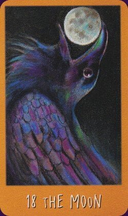 טארוט נבואת העורב The Raven's Prophecy Tarot – תמונה 5