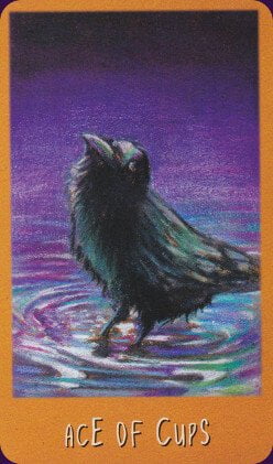 טארוט נבואת העורב The Raven's Prophecy Tarot – תמונה 6