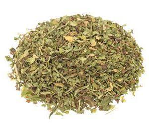 פברפיו Feverfew (בן חרצית)