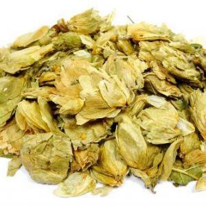 הופס Hops(כשותנית)
