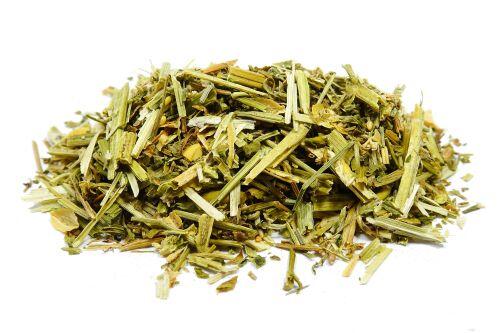 ויולט Violet/Heartsease (אמנון ותמר)