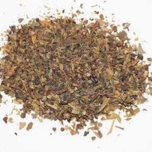 היסופ Hyssop (בן אזוב)