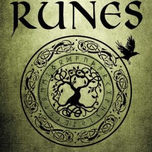 כריכת הספר Taking Up the Runes מאת Diana L. Paxson ללימוד רונות