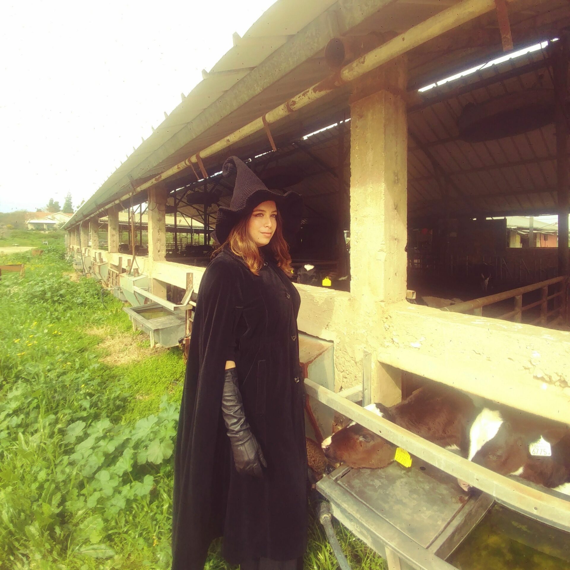 דרוסילה השחורה - כובע מכשפה סרוג בעבודת יד – תמונה 4