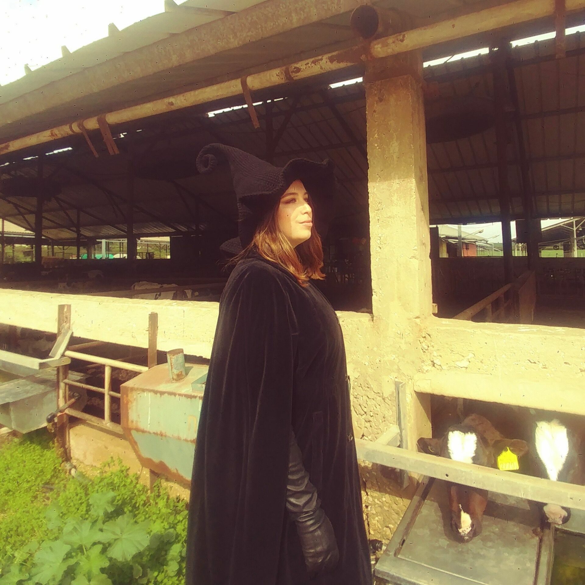 דרוסילה השחורה - כובע מכשפה סרוג בעבודת יד – תמונה 3